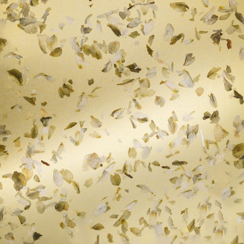 HOPFEN GOLD on golden paper_148x185mm_Organoid Natural Surfaces