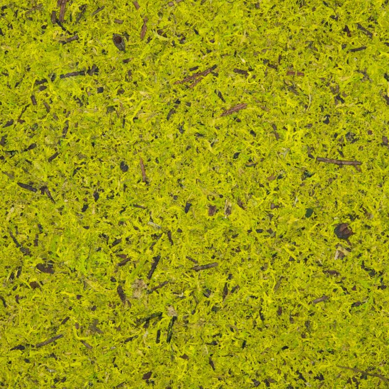 MOOS HELLGRÜN_sample 138x210mm real size_Organoid Natural Surfaces